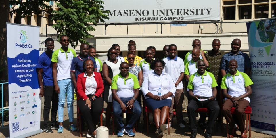 maseno university