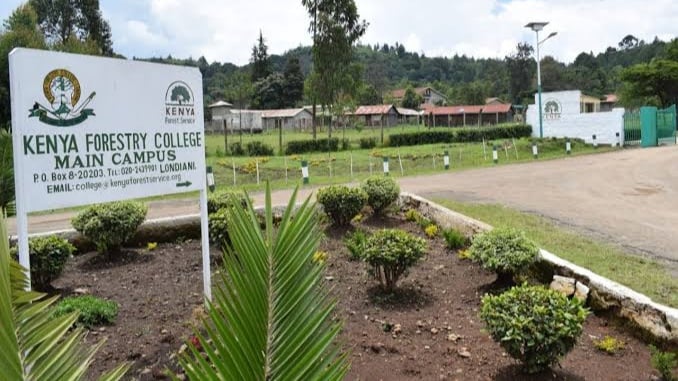 kenya forestry college