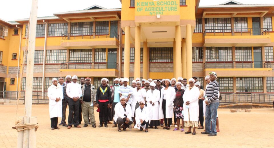kenya school of agriculture