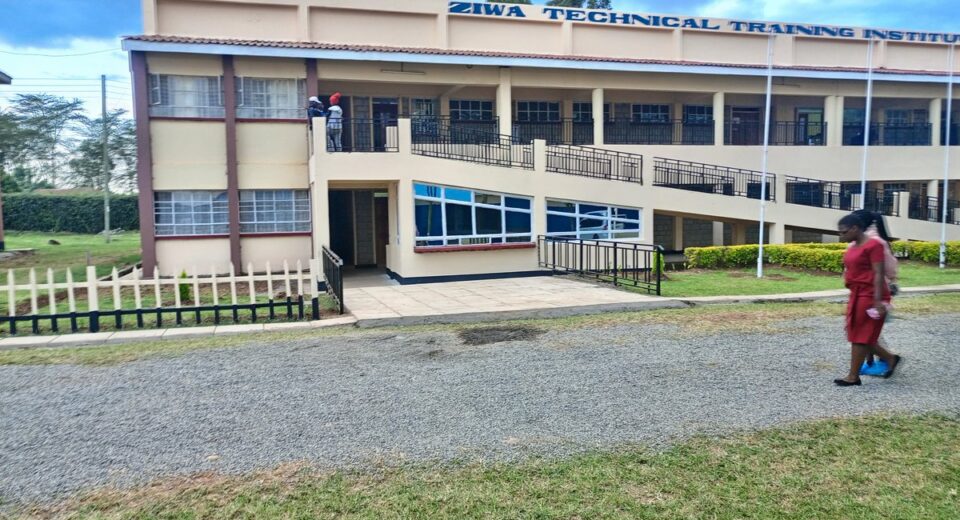 ziwa technical training institute