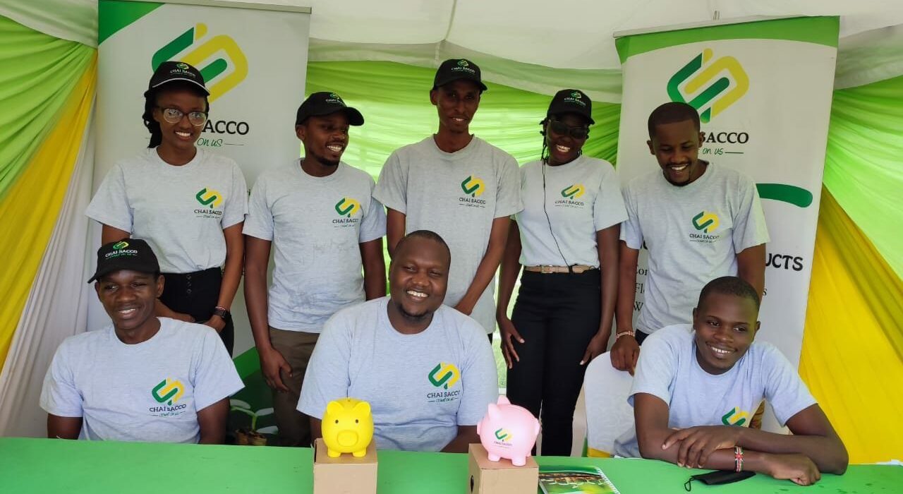 Chai Sacco