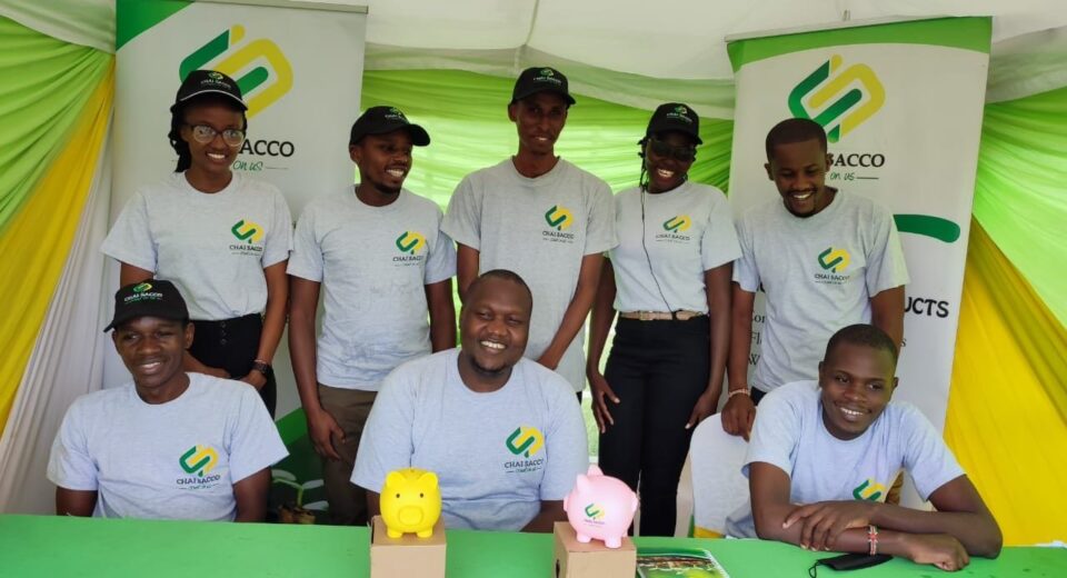 Chai Sacco
