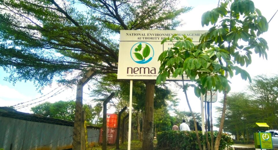 NEMA Offices