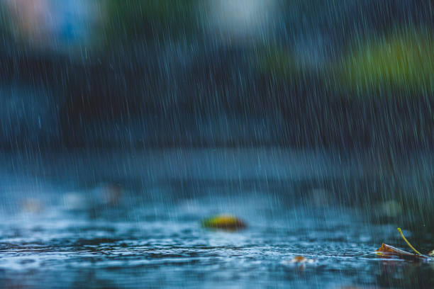 Rainfall