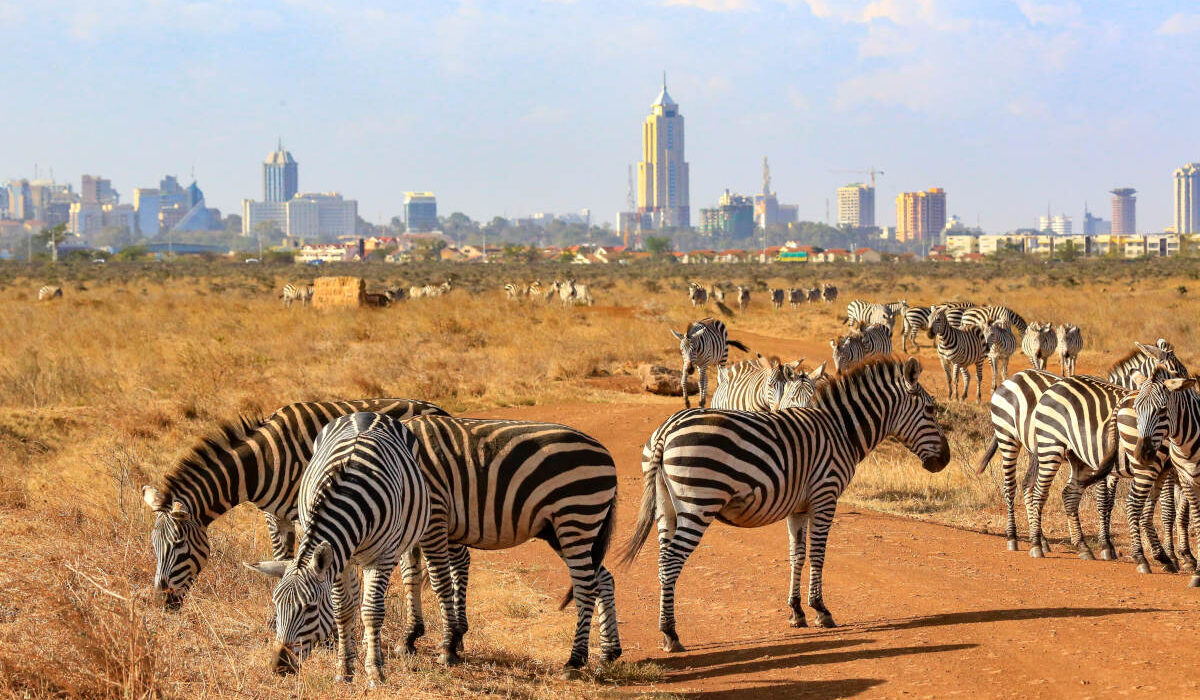 nairobi national park