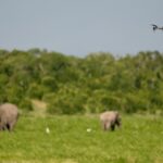 Safaricom Lists KES20 Billion Green Bond at NSE After Strong Retail Uptake