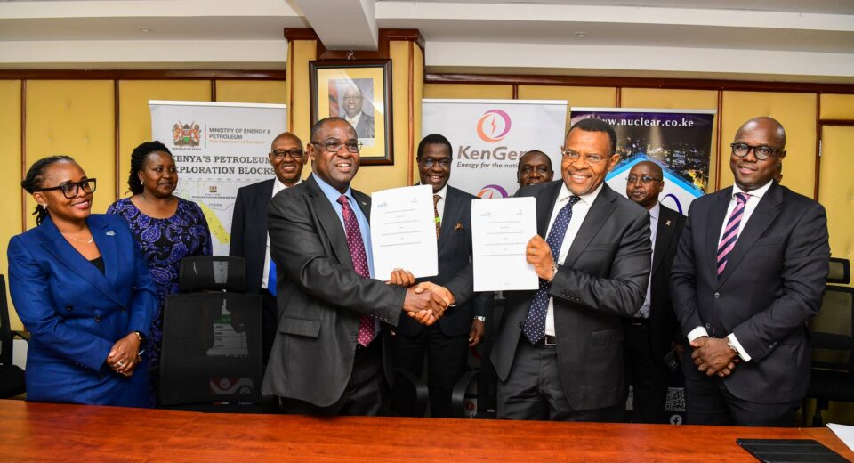 Kengen Named Kenya's Nuclear Operator