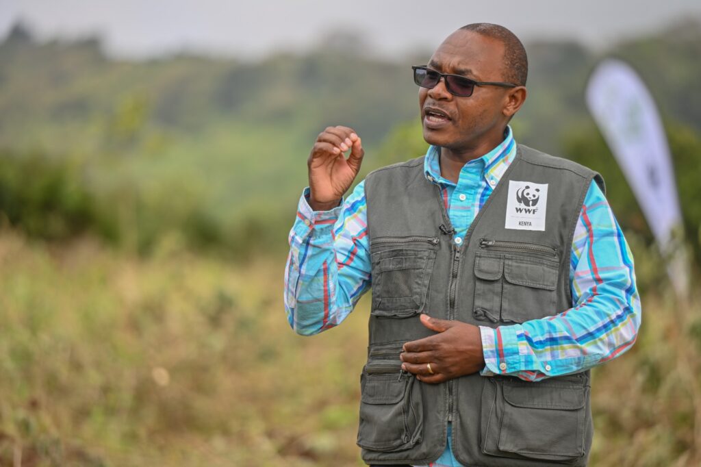 Jackson kiplagat WWF